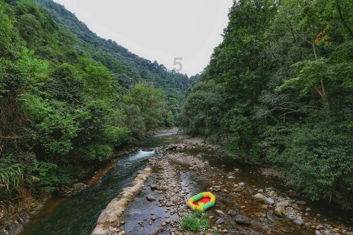 游戏画面
